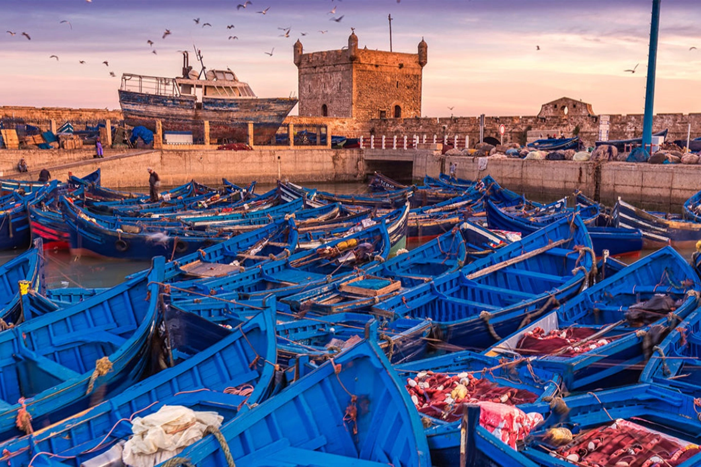 Morocco Tours And Trips - Full Day Trip from Marrakech to Essaouira Beach - Main